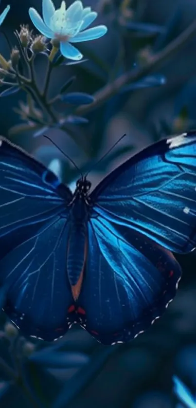 Blue butterfly resting on flowers in a serene setting.