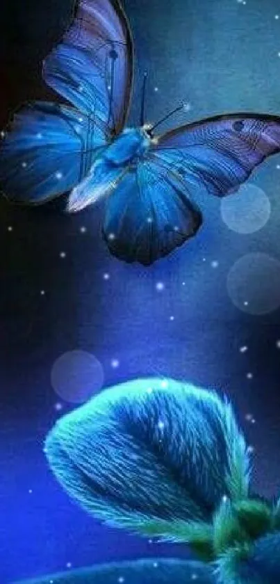 Blue butterfly glows elegantly over a leaf in this mobile wallpaper.