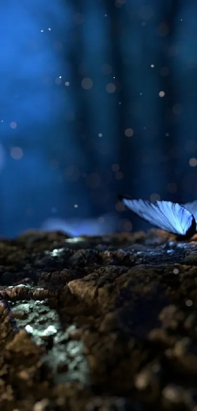 Elegant blue butterfly on moss at night in a serene forest setting, glowing softly.