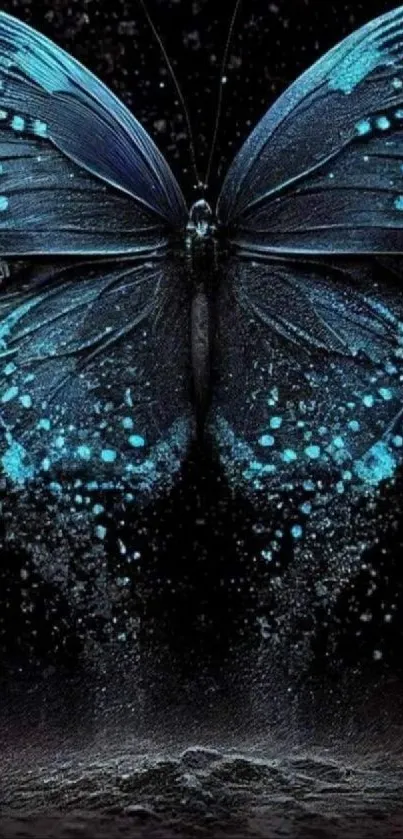 A stunning blue butterfly with intricate wings on a dark background.