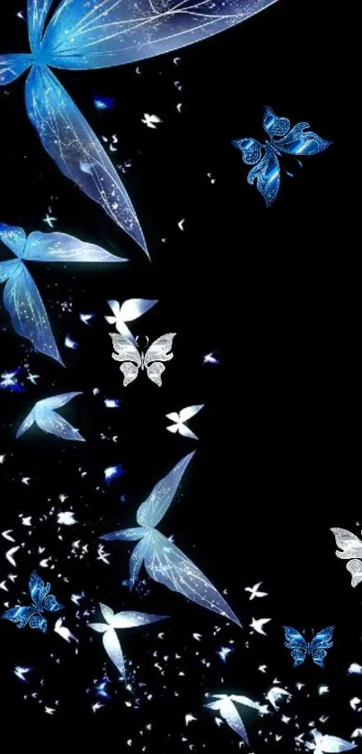 Elegant blue butterflies on a black background with a mystical design.