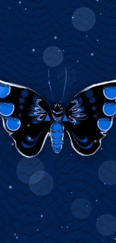 Blue butterfly on a midnight blue background with glowing accents.