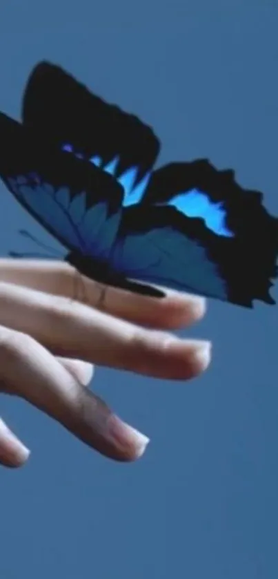 Blue butterfly resting on a fingertip.