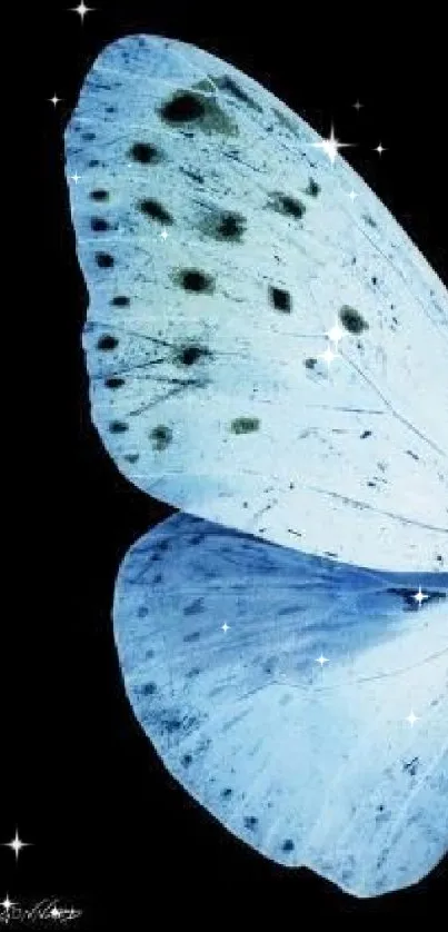 Elegant blue butterfly wing on black background.