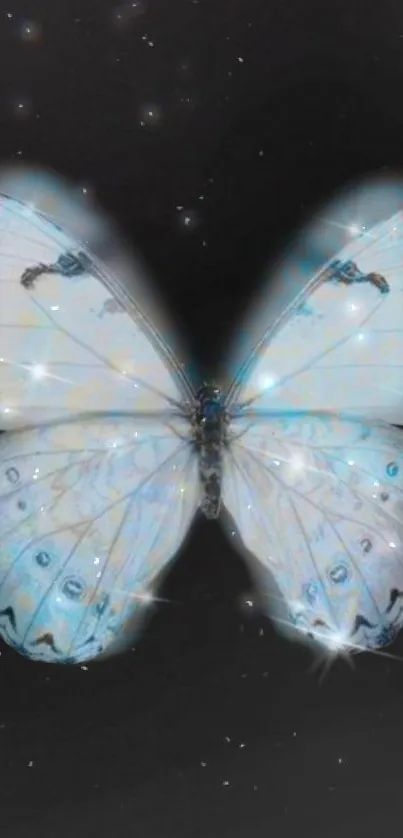 Luminous blue butterfly on dark starry background wallpaper.