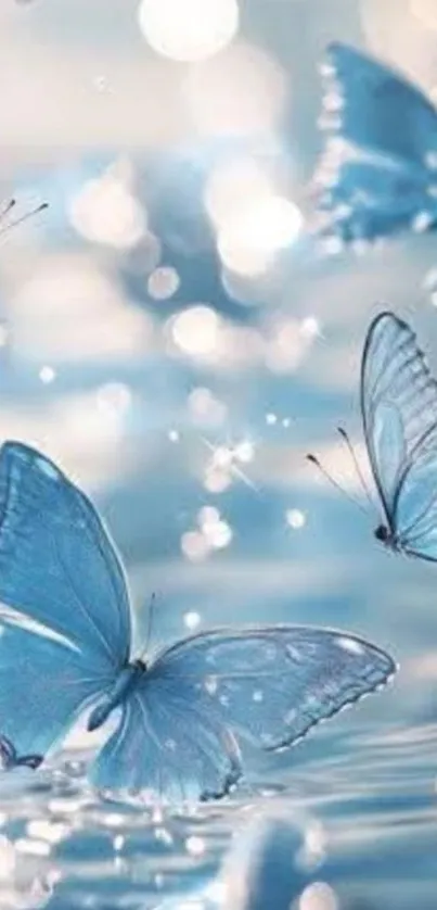 Blue butterflies fluttering against a sparkling background.