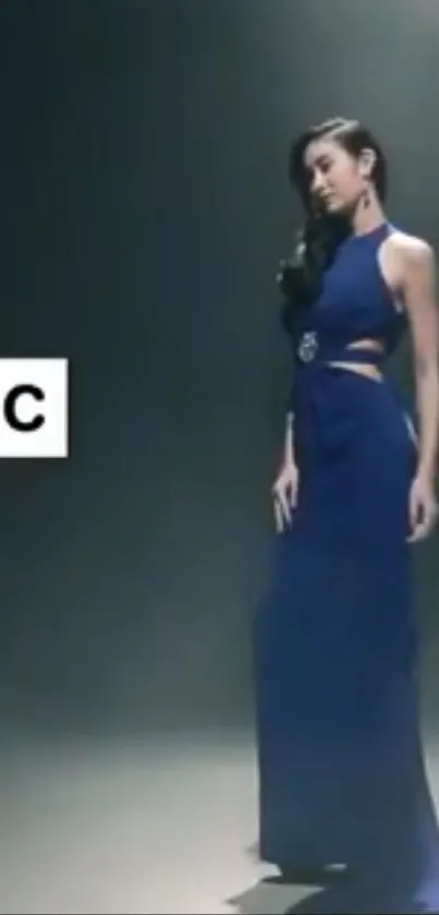 Model in elegant blue gown standing gracefully.