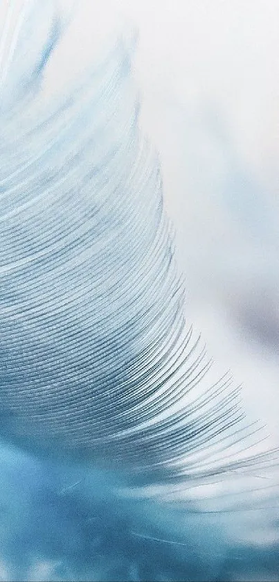 Close-up of a delicate blue feather on a light background.