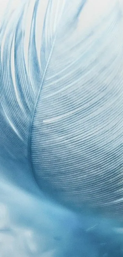 Elegant light blue feather wallpaper for mobile.