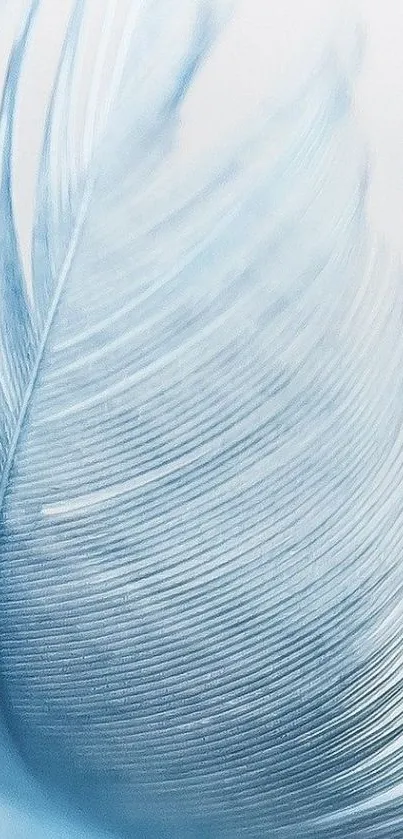 Elegant light blue feather mobile wallpaper, soft and serene.