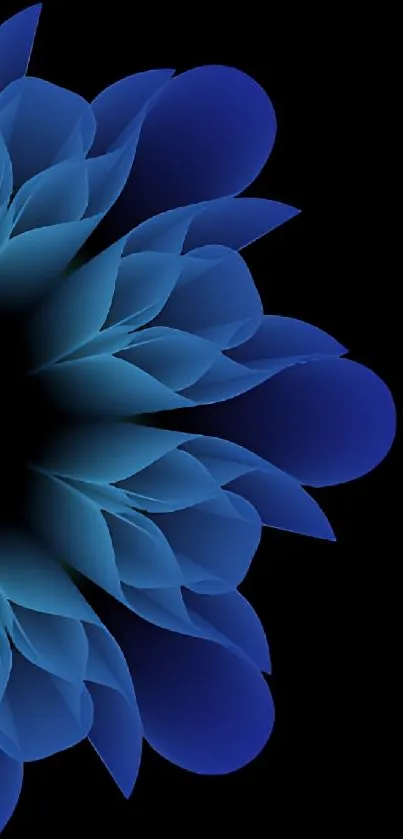 Elegant blue floral phone wallpaper with black background.