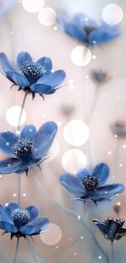 Elegant blue flowers with soft background.