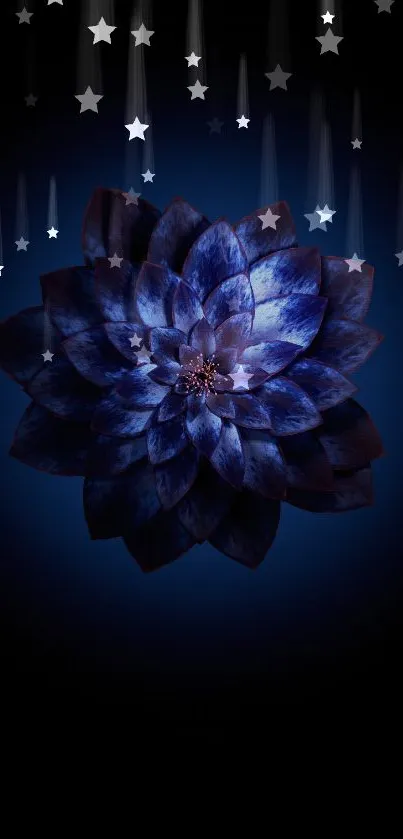 Elegant blue lotus bloom on dark background.