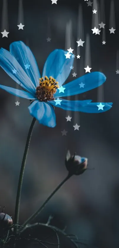 Elegant blue flower on dark background, perfect for mobile wallpaper.