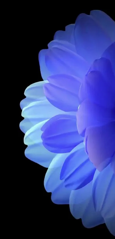 Elegant blue flower wallpaper on a black background.