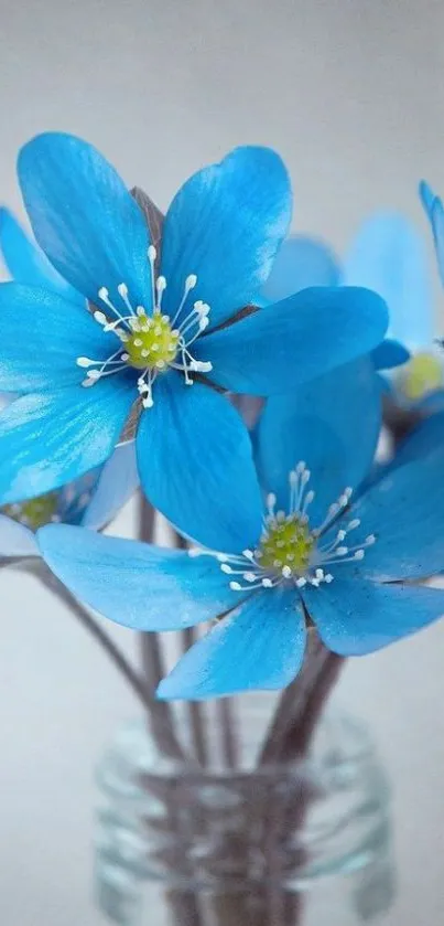 Close-up of elegant blue flowers in a vase, captured beautifully for wallpaper.