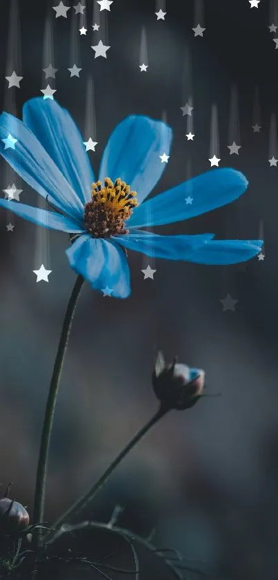 Elegant blue flower with dark background wallpaper.