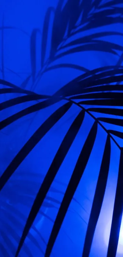 Silhouette of leaves against a vibrant blue background for mobile wallpaper.