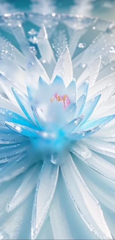 Elegant blue lotus with icy petals, perfect for a serene mobile wallpaper.