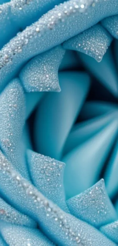 Close-up of a blue rose with dew-covered petals.