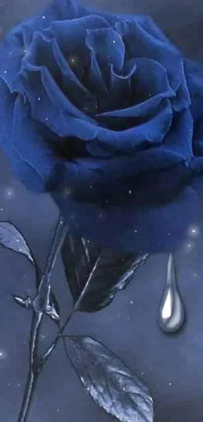 Elegant blue rose with dark background for mobile wallpaper.