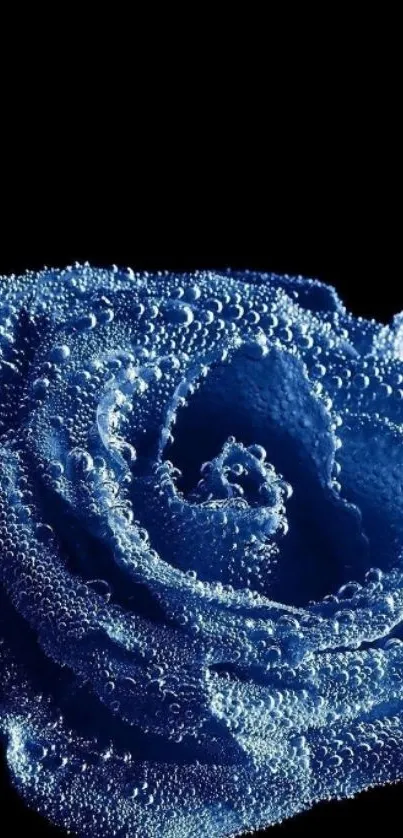 Elegant blue rose with water droplets on a dark background.