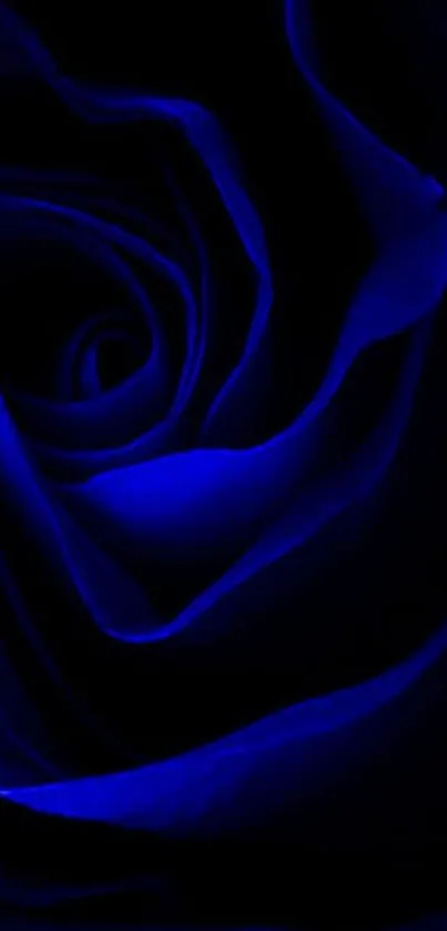 Dark blue rose petals in an elegant floral phone wallpaper.