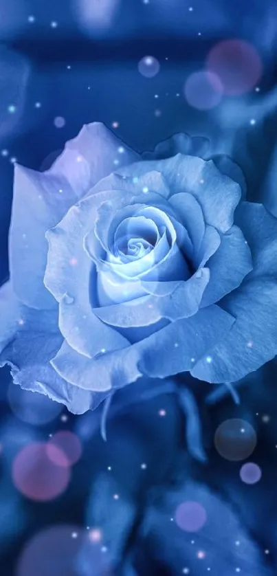 Elegant blue rose with bokeh effects.