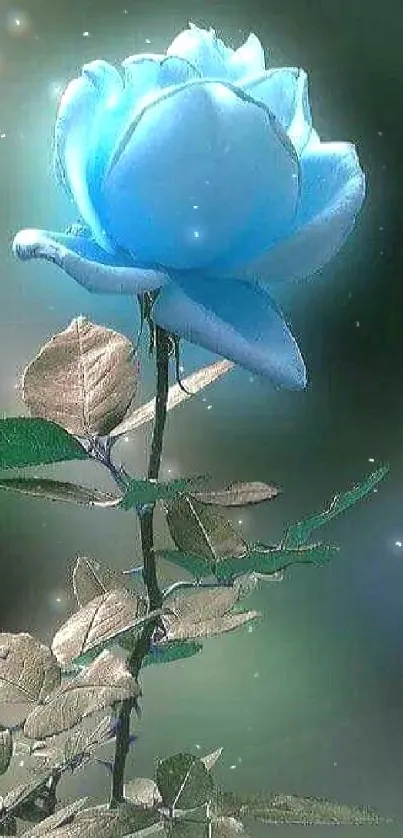 Elegant blue rose with leaves on phone wallpaper.