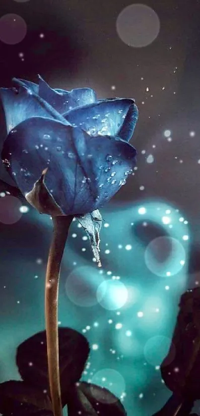 Enchanting mobile wallpaper with a blue rose and dew drops.