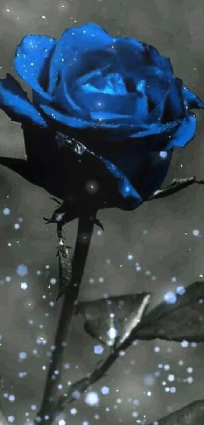 Mobile wallpaper of a blue rose with mystical sparkles.