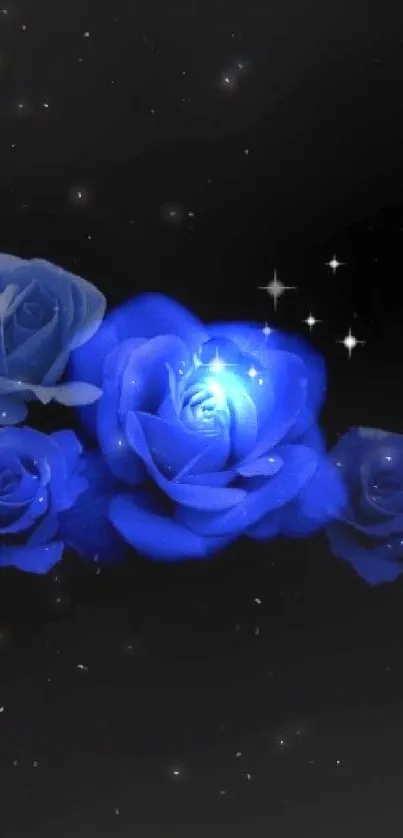 Elegant blue roses glowing on a dark background with subtle sparkle accents.