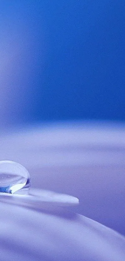 Close-up of a water droplet on a violet surface with a blue background.