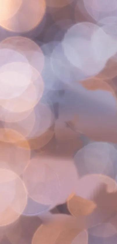 Soft bokeh light wallpaper with pastel circles.