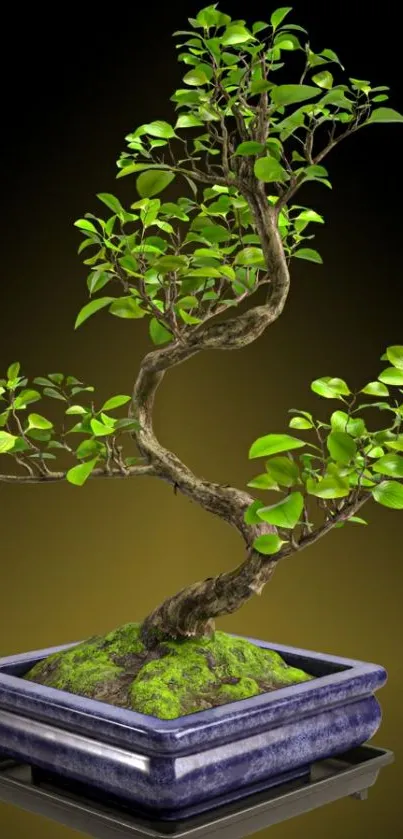 Elegant bonsai tree with green leaves on a dark background mobile wallpaper.