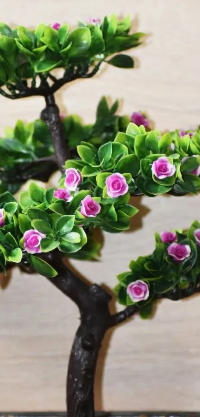 Bonsai tree with vibrant pink flowers.