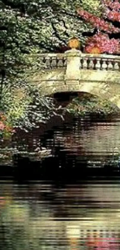 Bridge and trees reflecting on water at night.