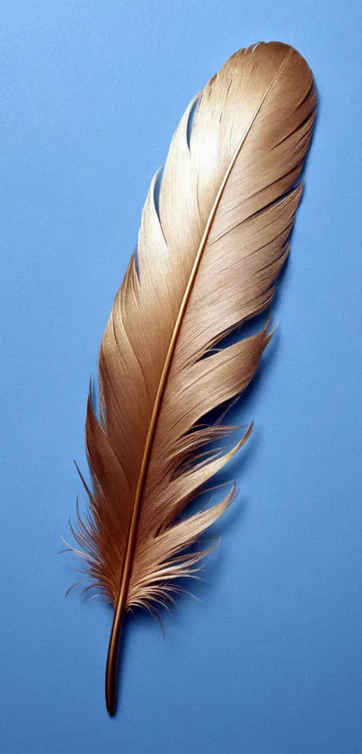 Elegant bronze feather on a blue background wallpaper.