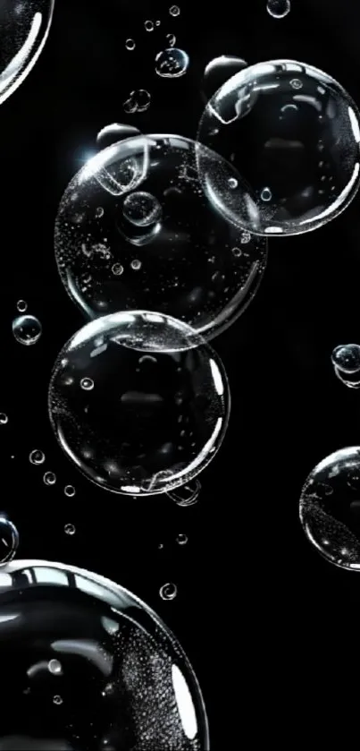 Elegant bubbles floating on a black background.