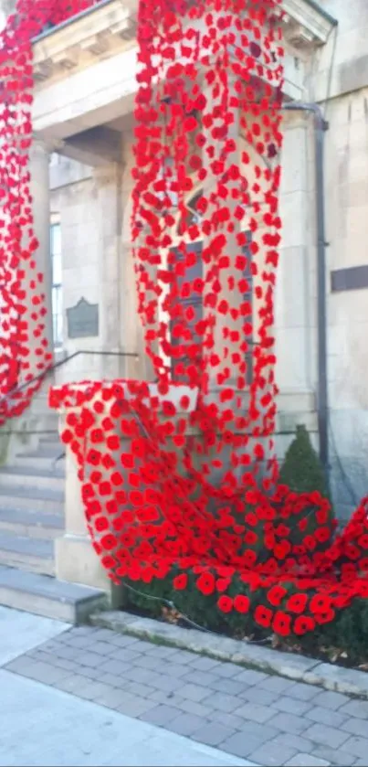 Vibrant red poppies cascade over a historic building facade.