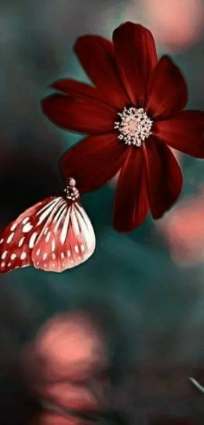 Red flower and butterfly art wallpaper for mobile.