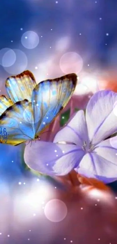 Butterfly on lilac flower with dreamy blue background.