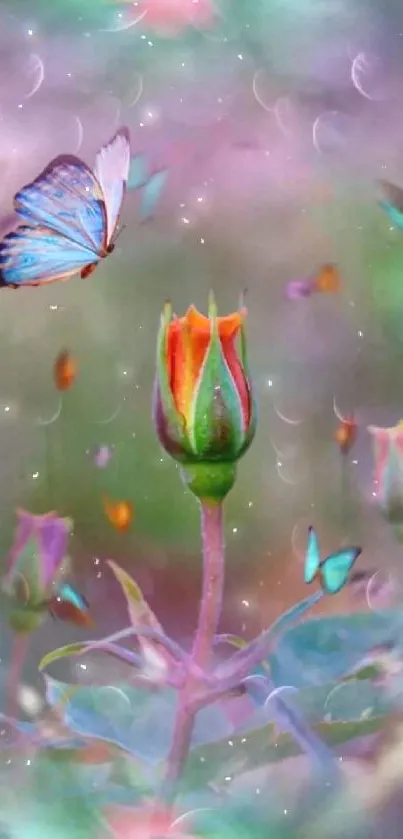 Butterfly near rosebud with purple bokeh background