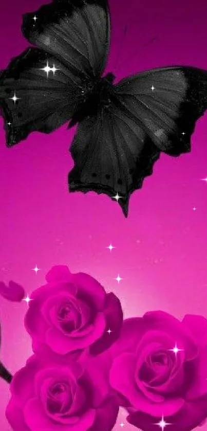 Black butterfly with vibrant pink roses wallpaper.