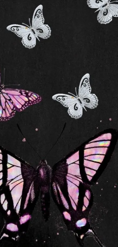 Elegant black wallpaper with pink and white butterflies.