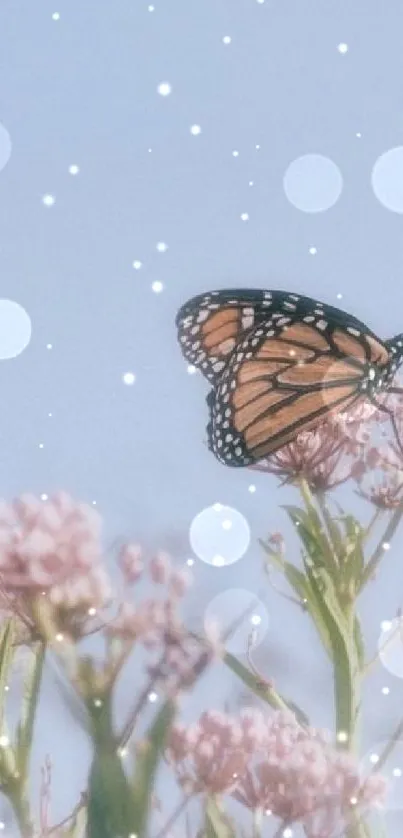 Butterflies on pink blossoms under a soft blue sky.