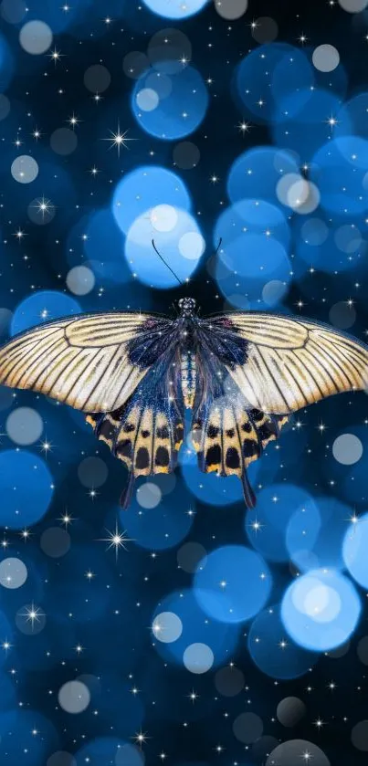 Elegant butterfly with blue bokeh background wallpaper.