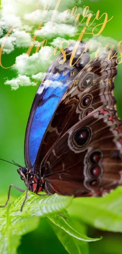 Christmas mobile wallpaper with a butterfly on green leaves.