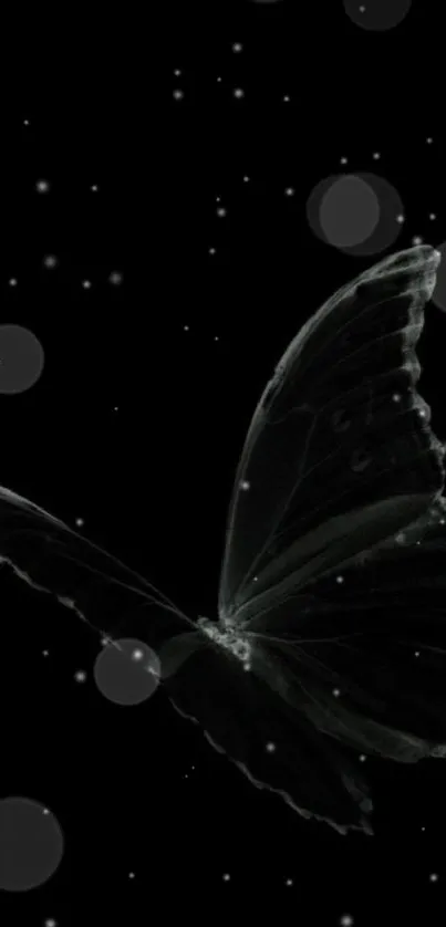 Translucent butterfly on a black background wallpaper.