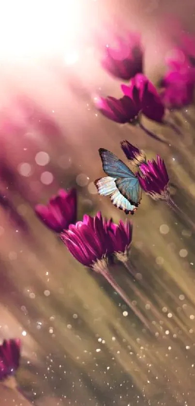 Butterfly resting on magenta flowers with soft bokeh light.